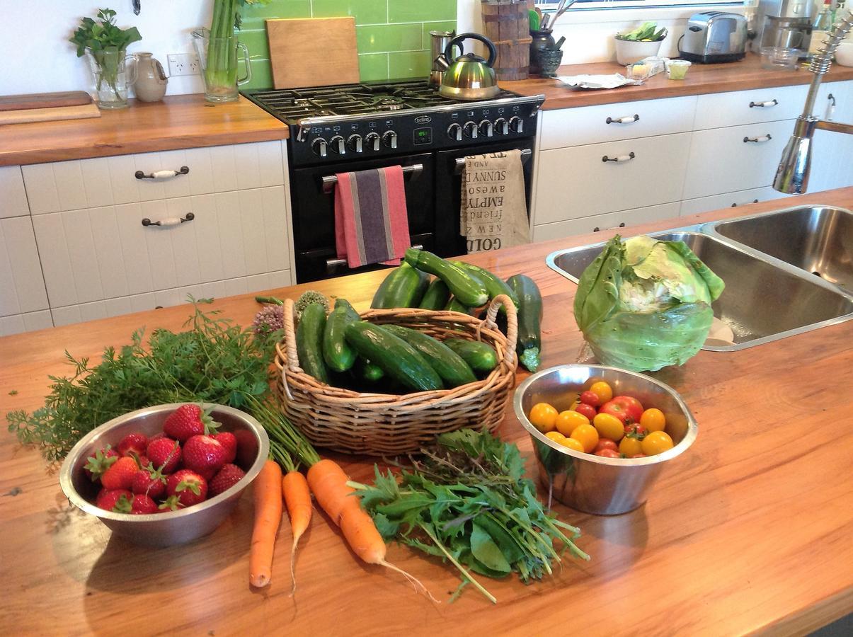 Rolling Hills Country Stay B&B Tauranga Exterior foto